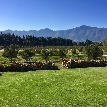 Olive Cottage فرانستشوك المظهر الخارجي الصورة